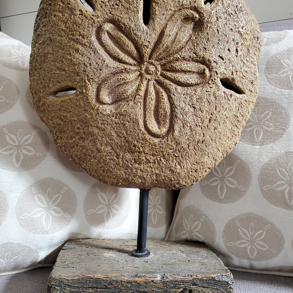 Large Mounted Sand-dollar, 3D